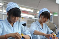 派遣劳务工服务适合哪些岗位
