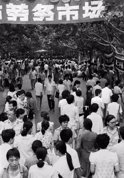 赋能产业 链接人力——西南人力资源服务行业的创新实践与发展之道